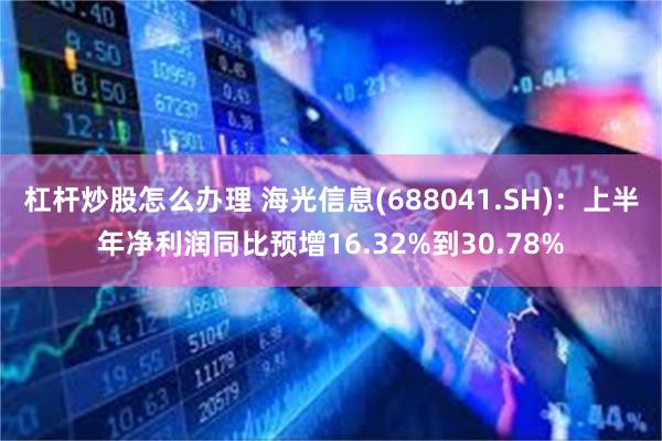 杠杆炒股怎么办理 海光信息(688041.SH)：上半年净利润同比预增16.32%到30.78%