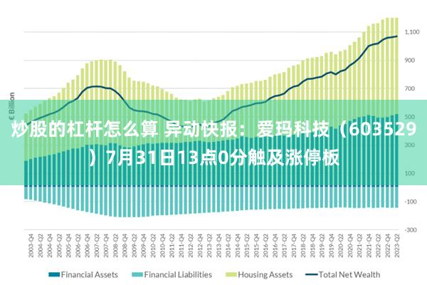 炒股的杠杆怎么算 异动快报：爱玛科技（603529）7月31日13点0分触及涨停板