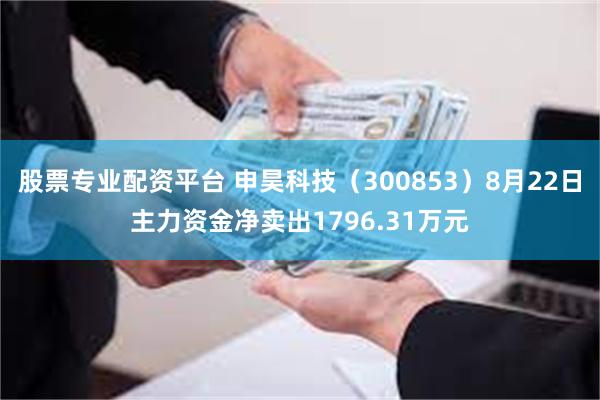 股票专业配资平台 申昊科技（300853）8月22日主力资金净卖出1796.31万元