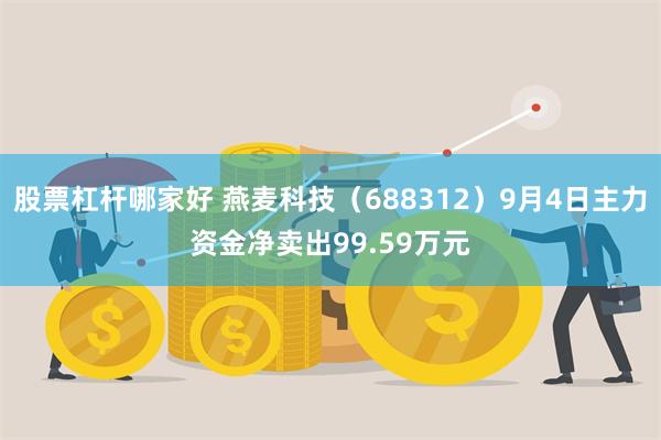 股票杠杆哪家好 燕麦科技（688312）9月4日主力资金净卖出99.59万元