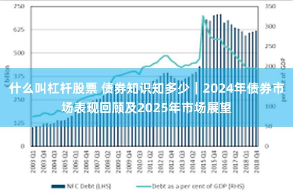 什么叫杠杆股票 债券知识知多少｜2024年债券市场表现回顾及2025年市场展望