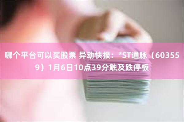 哪个平台可以买股票 异动快报：*ST通脉（603559）1月6日10点39分触及跌停板