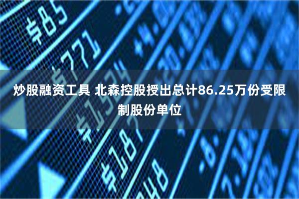 炒股融资工具 北森控股授出总计86.25万份受限制股份单位