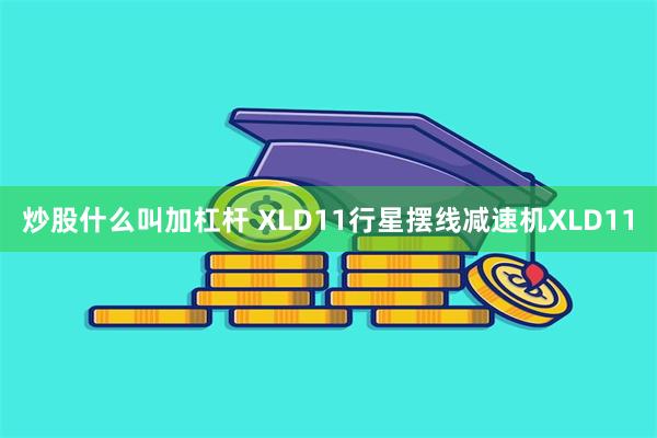 炒股什么叫加杠杆 XLD11行星摆线减速机XLD11