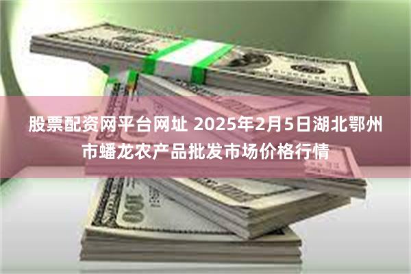 股票配资网平台网址 2025年2月5日湖北鄂州市蟠龙农产品批发市场价格行情