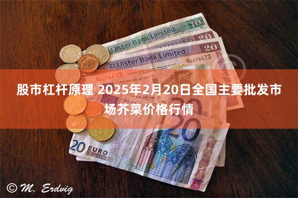 股市杠杆原理 2025年2月20日全国主要批发市场芥菜价格行情