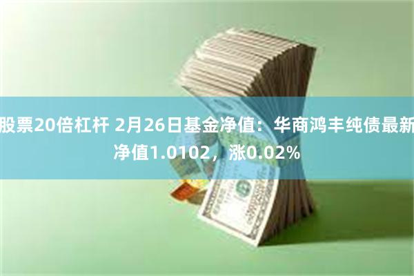 股票20倍杠杆 2月26日基金净值：华商鸿丰纯债最新净值1.0102，涨0.02%