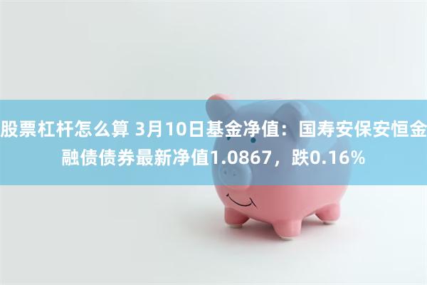 股票杠杆怎么算 3月10日基金净值：国寿安保安恒金融债债券最新净值1.0867，跌0.16%